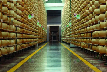 AreaBus-Ali-Alimentare-03